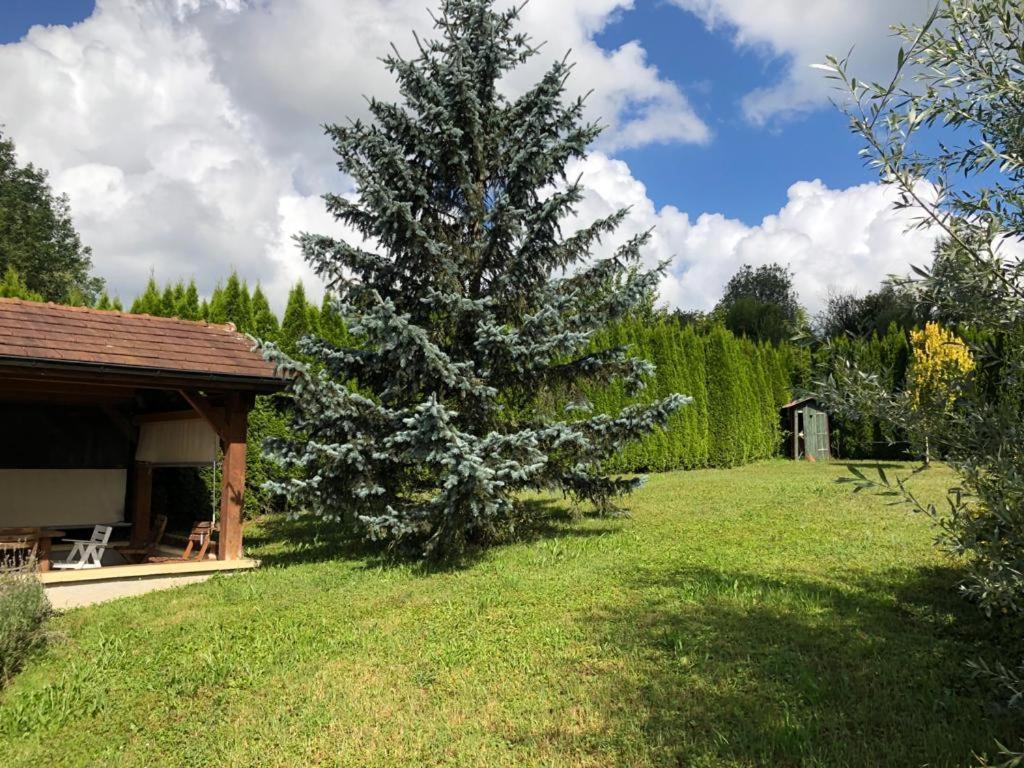 Maison/Gite Familial Dans Le Jura A 200M Du Lac Avec Piscine Privee Marigny  Ngoại thất bức ảnh