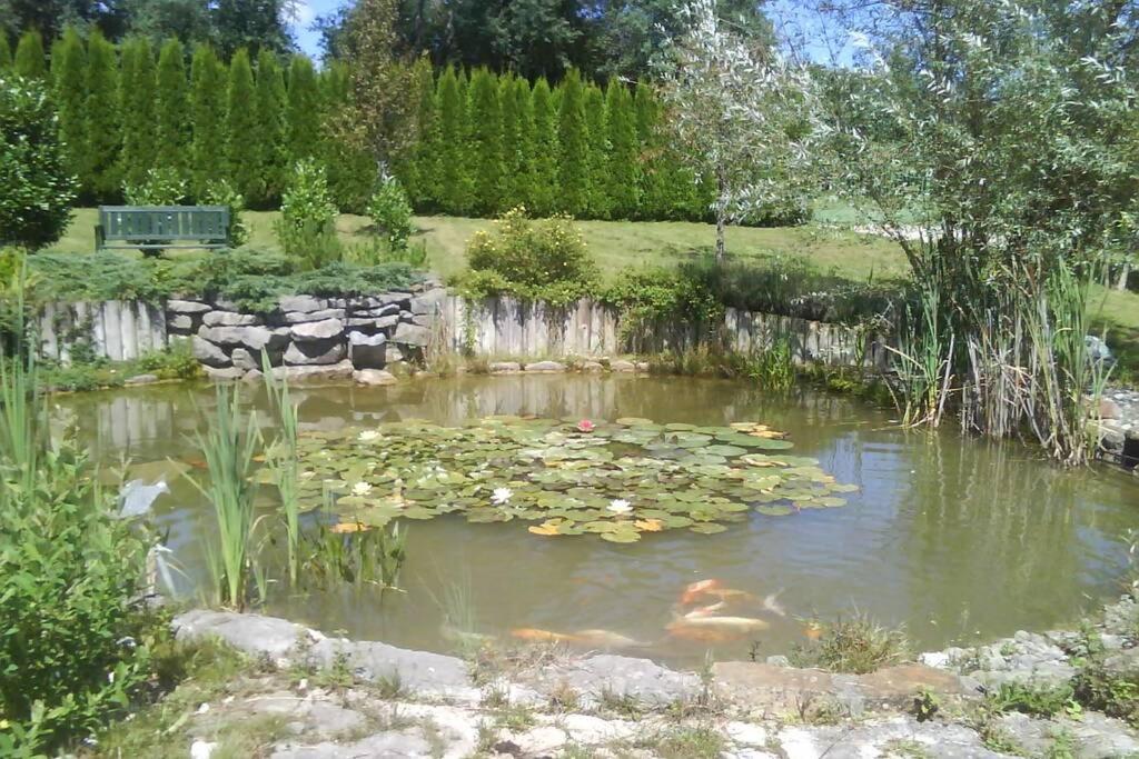 Maison/Gite Familial Dans Le Jura A 200M Du Lac Avec Piscine Privee Marigny  Ngoại thất bức ảnh