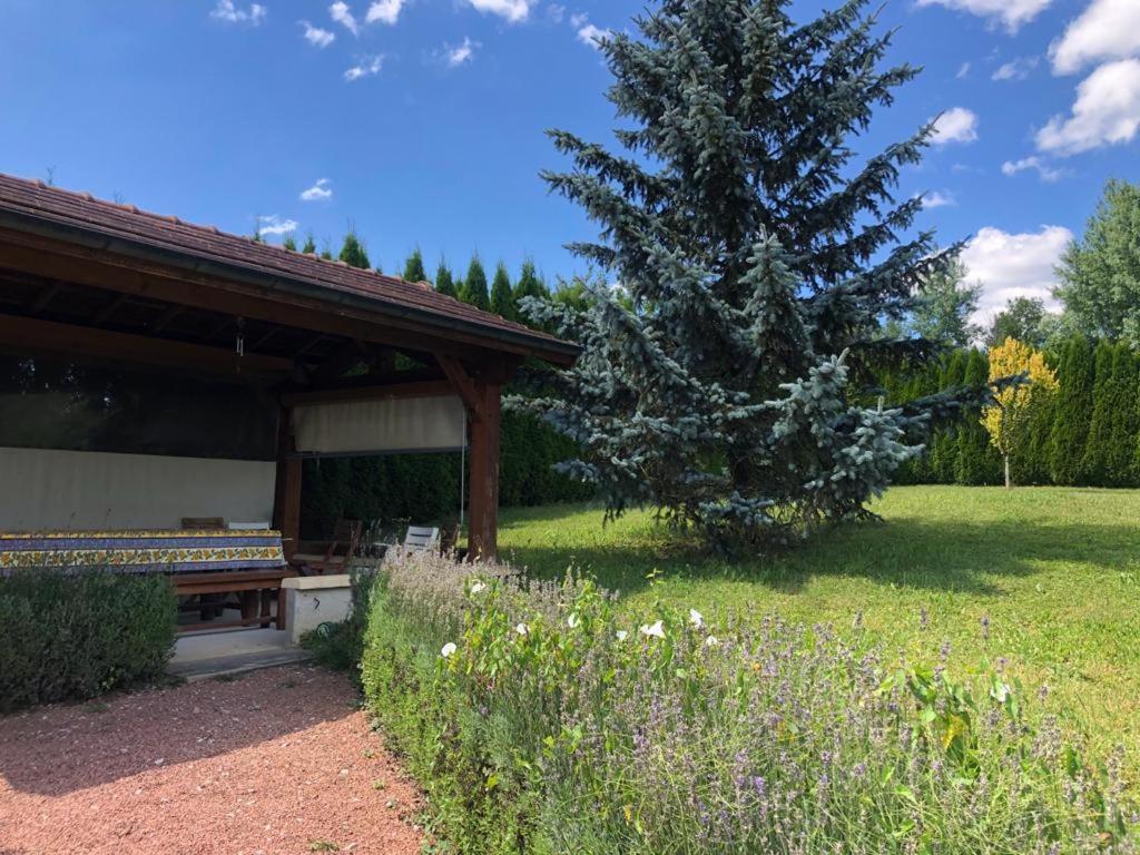 Maison/Gite Familial Dans Le Jura A 200M Du Lac Avec Piscine Privee Marigny  Ngoại thất bức ảnh