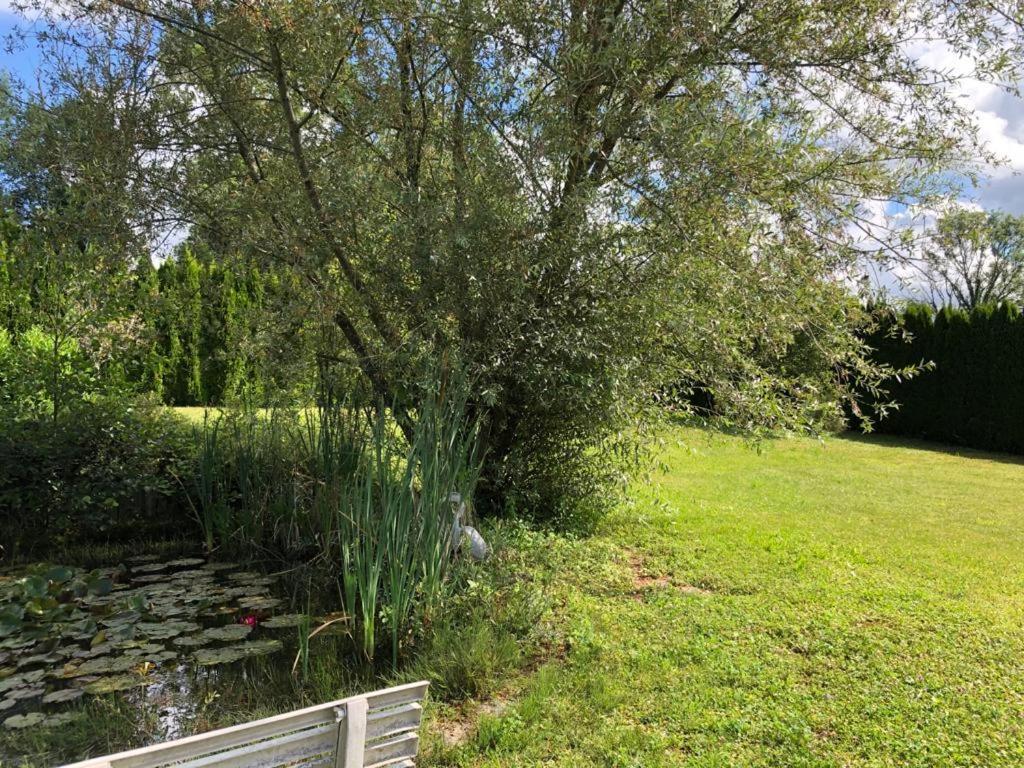 Maison/Gite Familial Dans Le Jura A 200M Du Lac Avec Piscine Privee Marigny  Ngoại thất bức ảnh