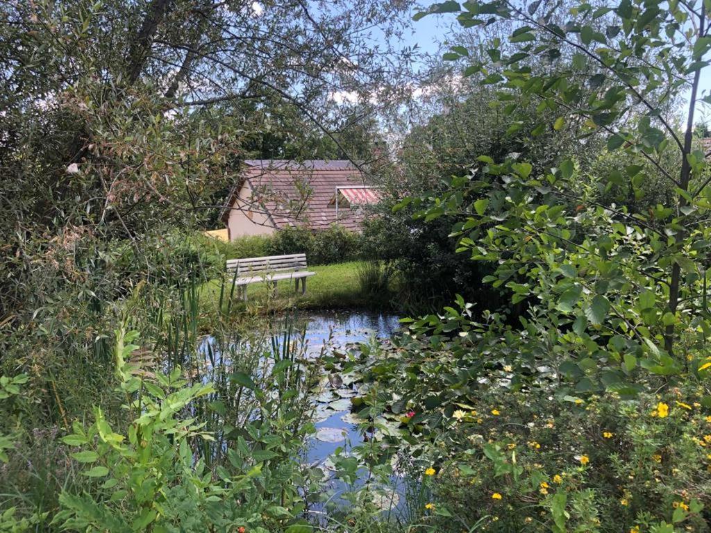 Maison/Gite Familial Dans Le Jura A 200M Du Lac Avec Piscine Privee Marigny  Ngoại thất bức ảnh